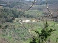 Fiesole - Parco di Montececeri-35